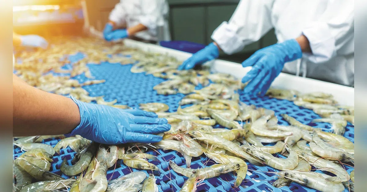 MPEDA’s TDSVMP scheme and EIC’s FSMS training/testing for export compliance
