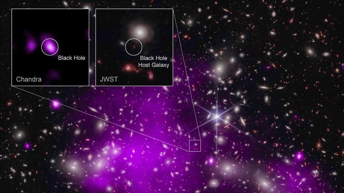 Radio Telescope Array