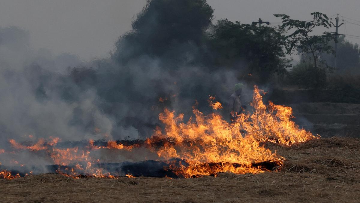 Drone-based surveillance image concept for stubble burning monitoring