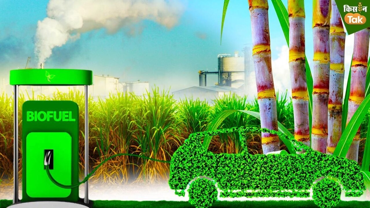 Ethanol Blended Petrol