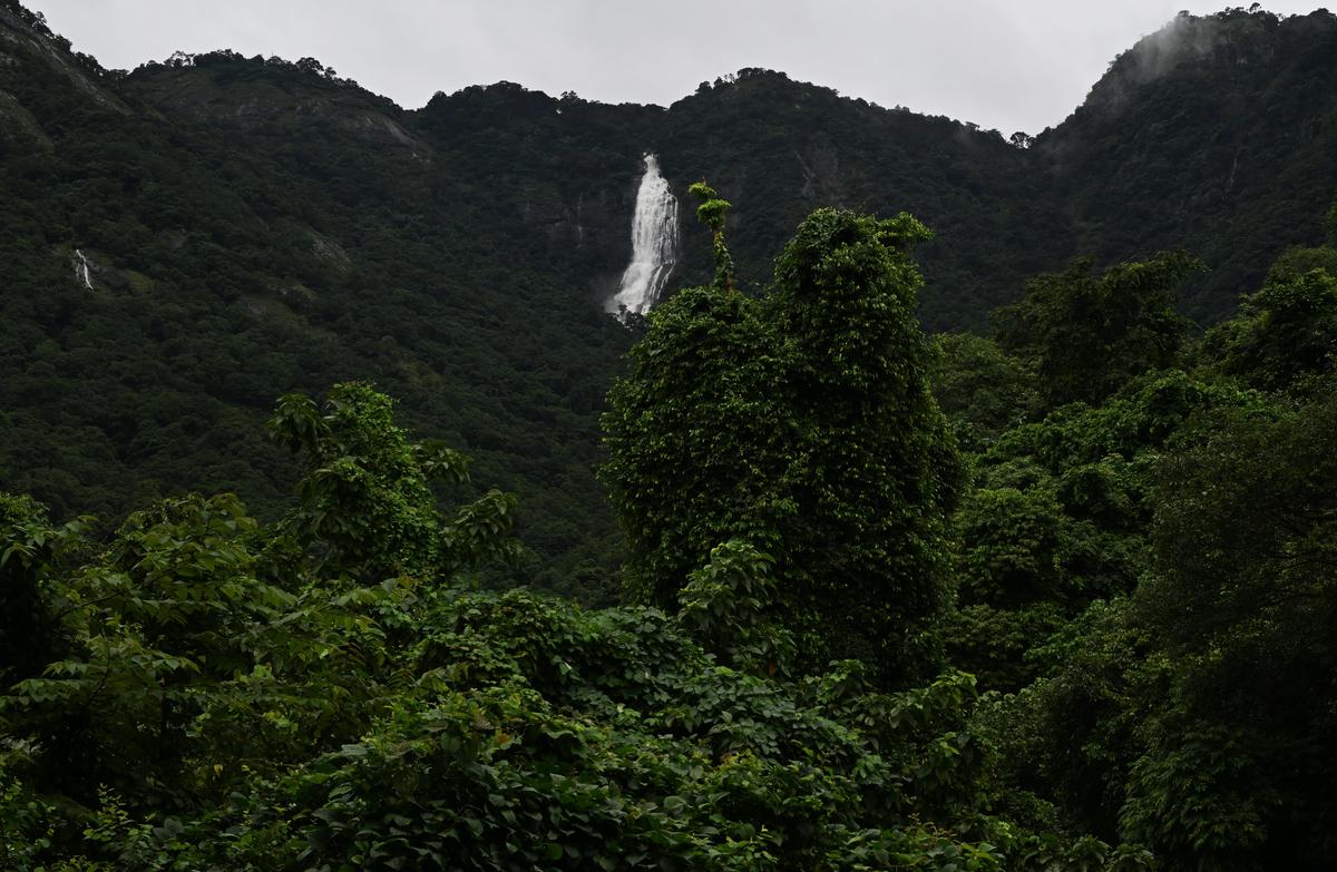 Western Ghats conservation: Centre reissues draft for eco-sensitive zone