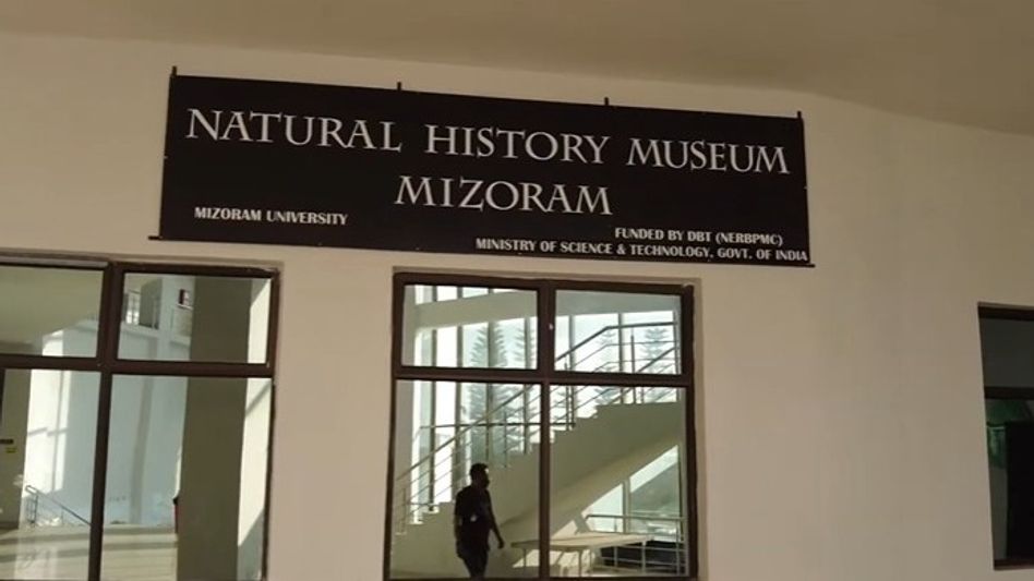 Mizoram Natural History Museum
