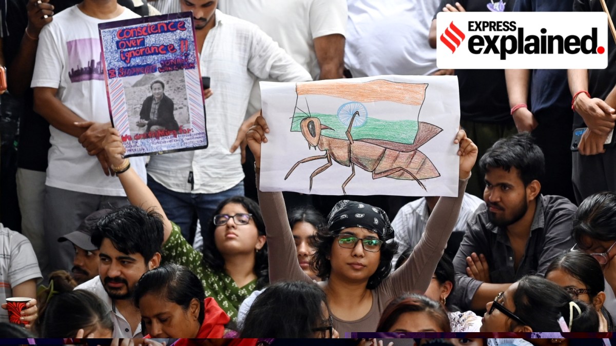 Dismantling the protest: What the law says (content block accompanying the main Law explainer)