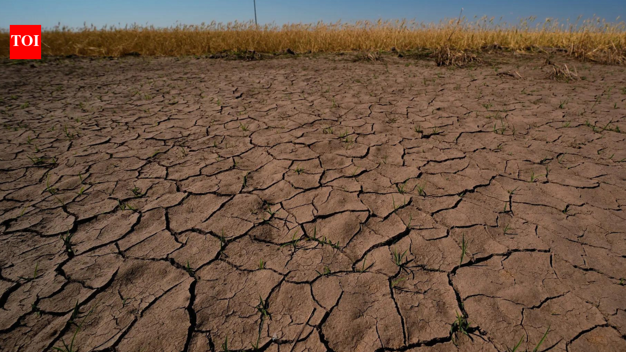 Farmers assessing dry fields