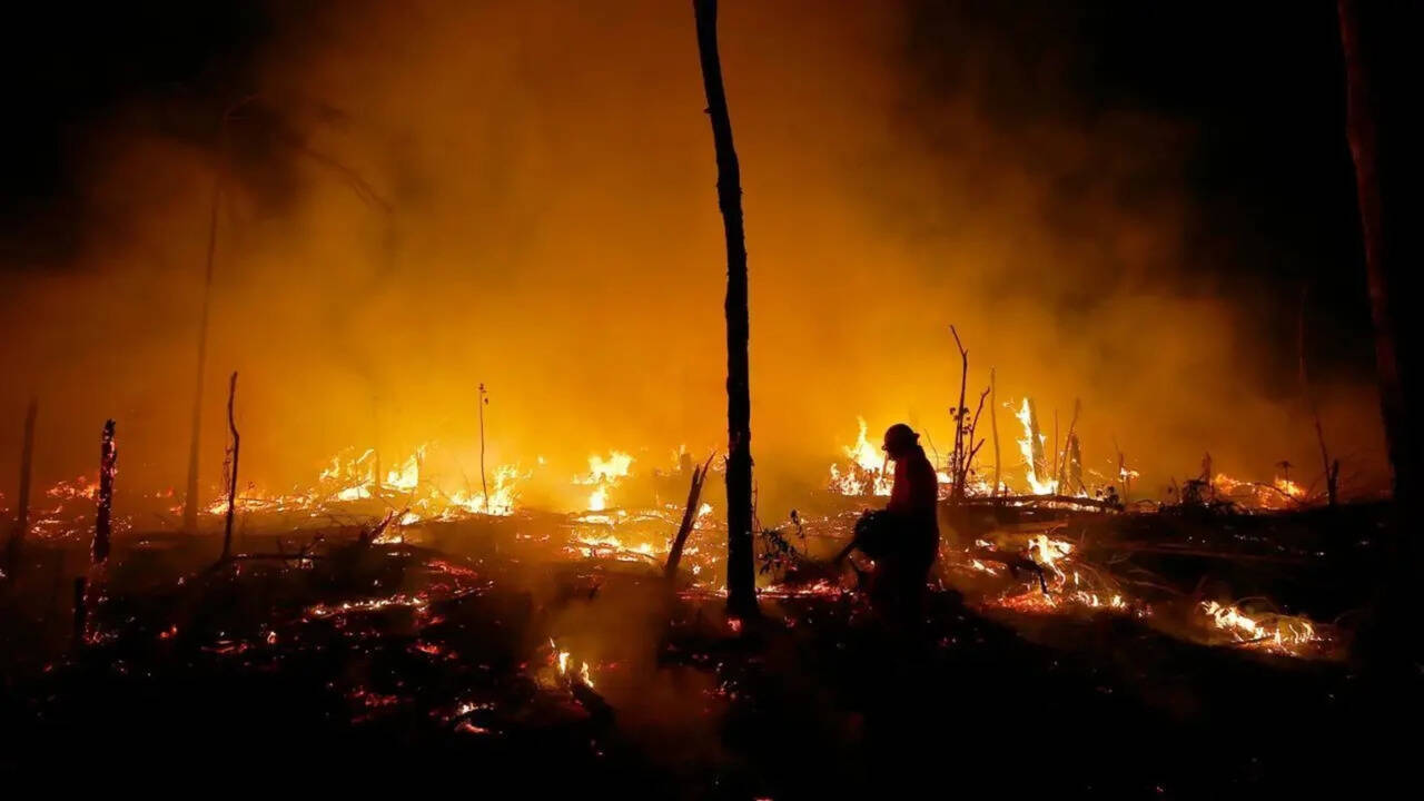 Fires in Brazil’s Amazon fell to historic low in 2025: report