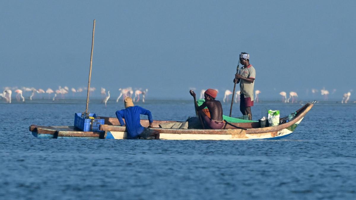 India becomes a Party to the WTO Agreement on Fisheries Subsidies